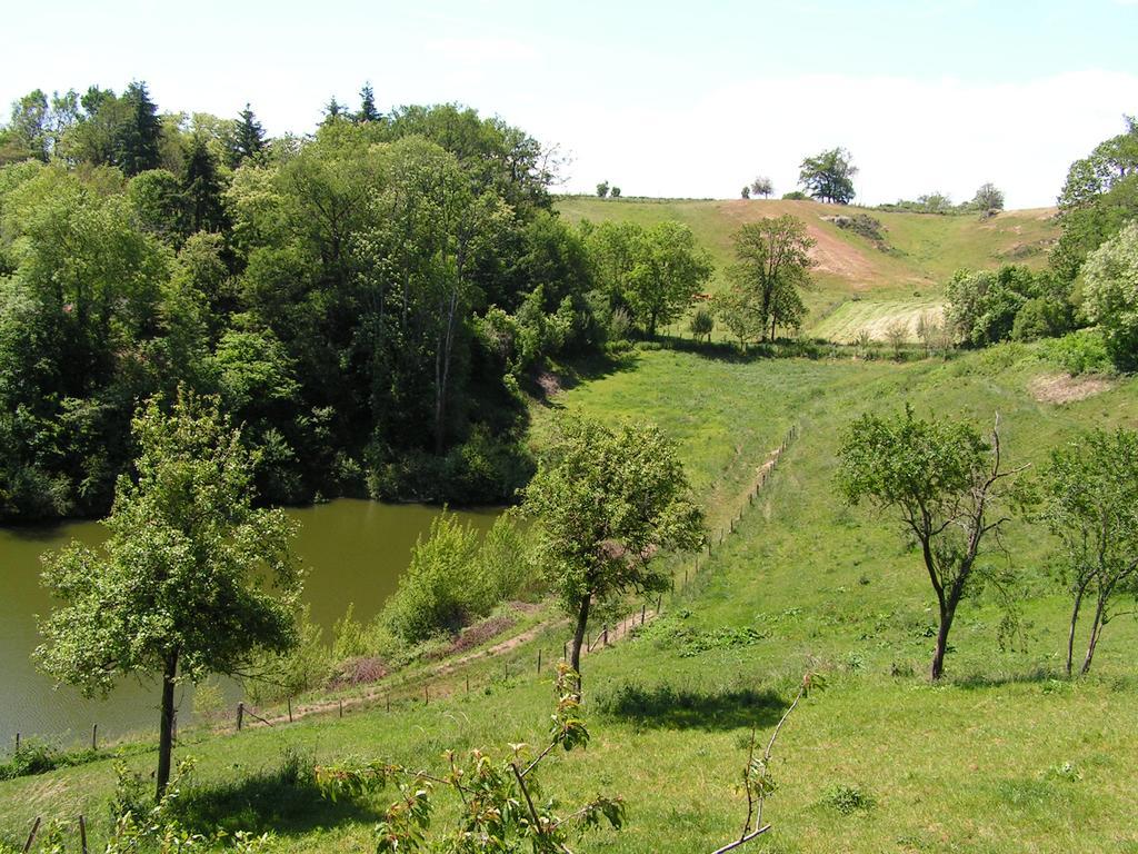 Gite De Carbonies Saint-Felix-de-Lunel Luaran gambar